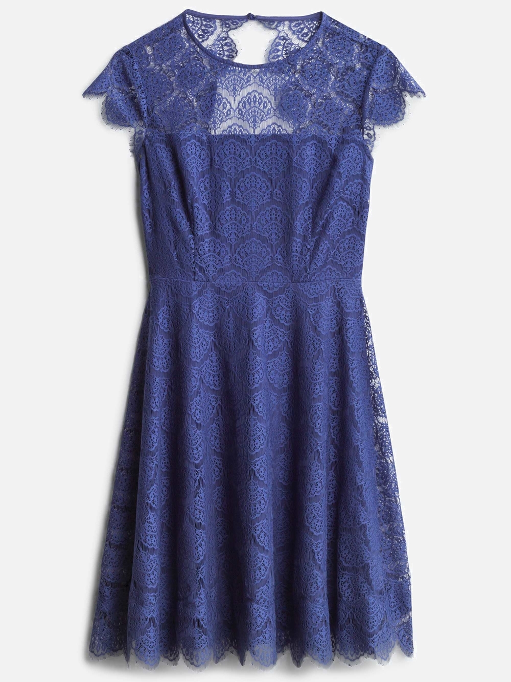 Kensie Dresses Mira Lace Fit-and-Flare Dress in Navy